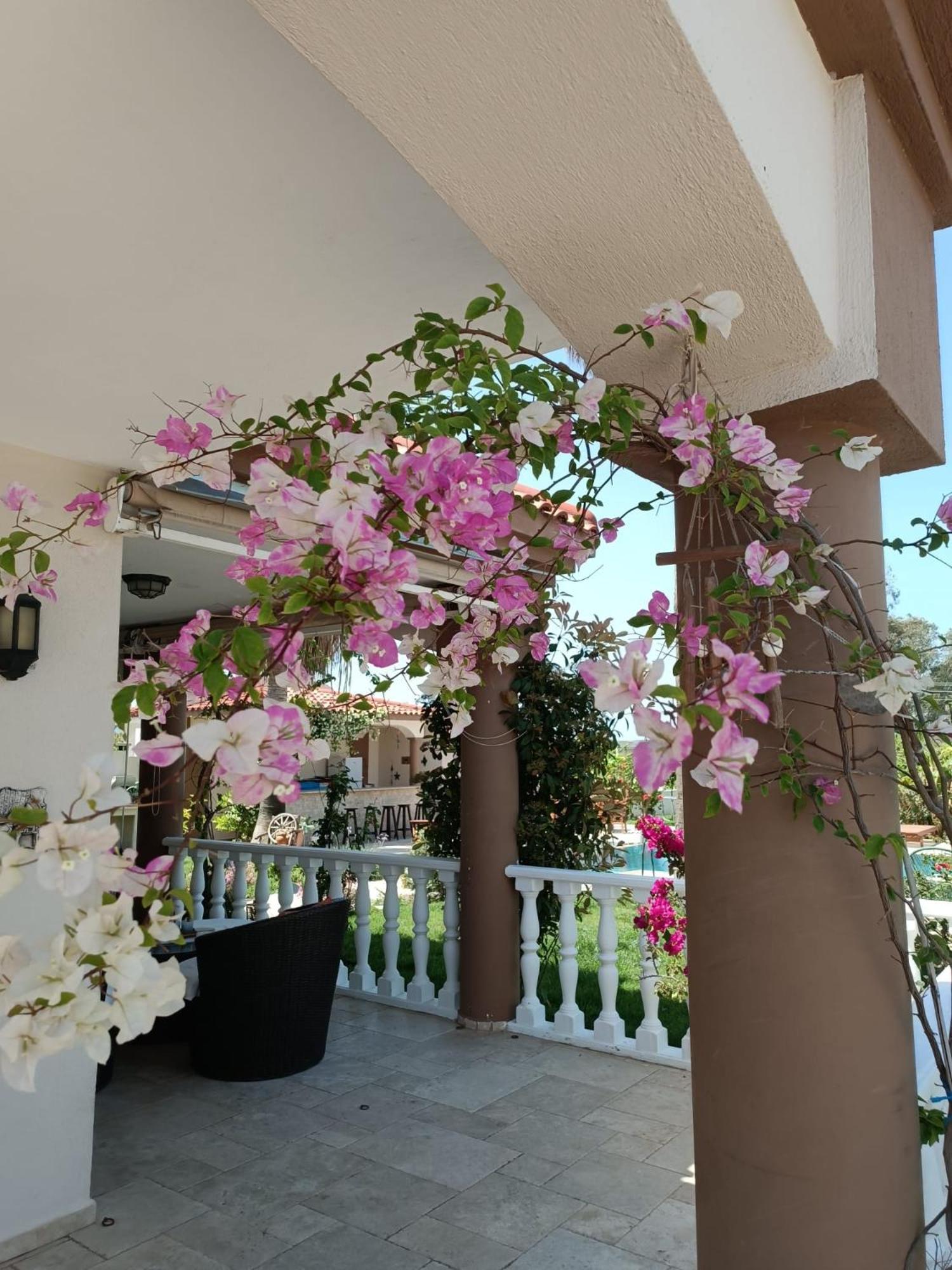 Villa Bade داليان المظهر الخارجي الصورة