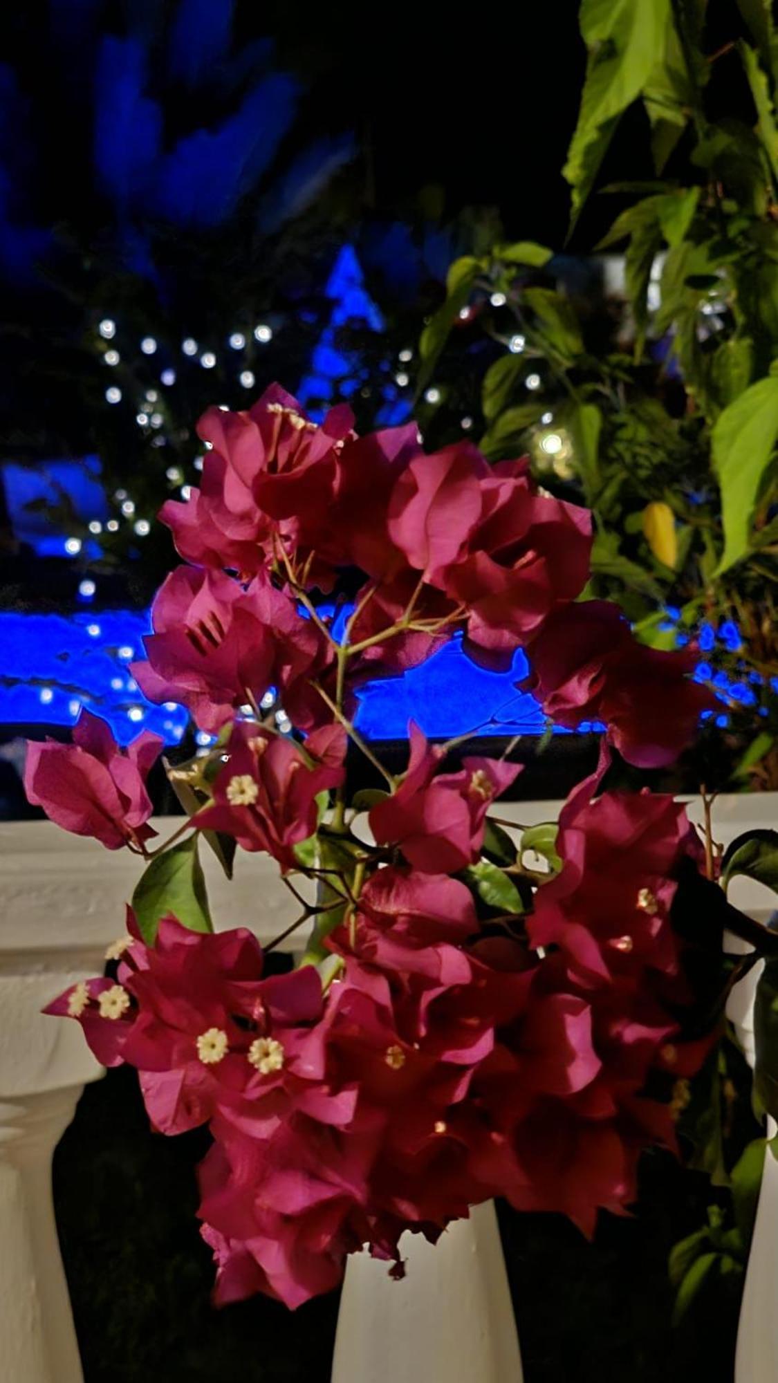 Villa Bade داليان المظهر الخارجي الصورة
