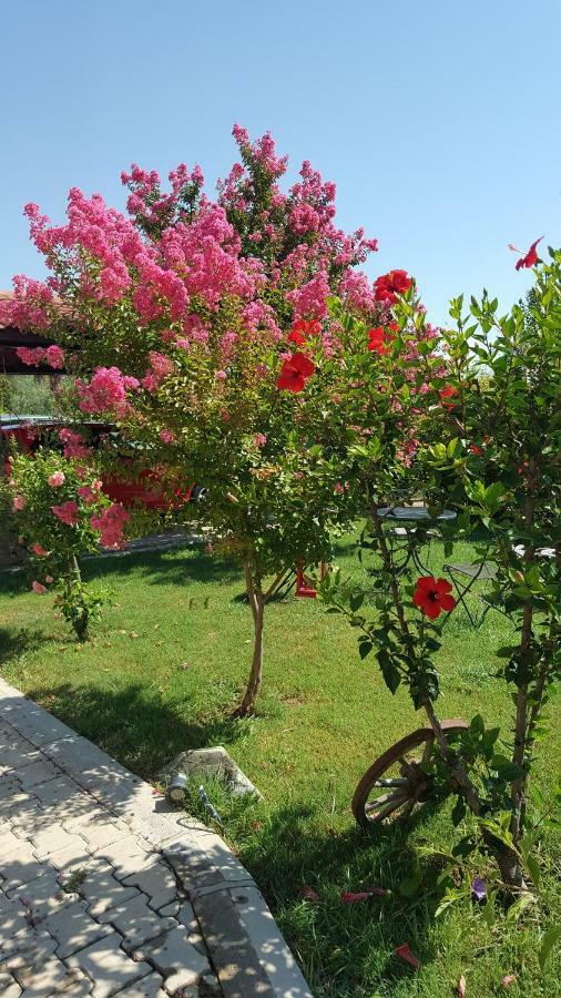 Villa Bade داليان المظهر الخارجي الصورة